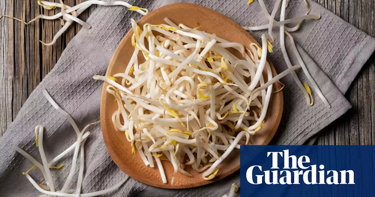 Don’t mention the wok: what to do with surplus beansprouts | Kitchen aide