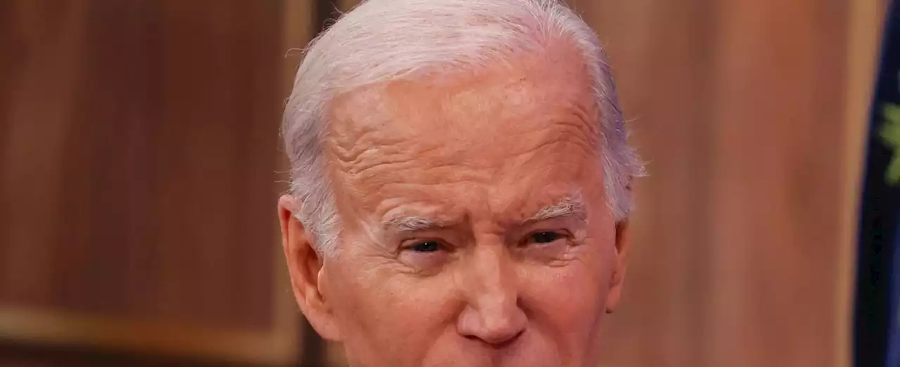 Biden: 'Incontrare Putin? Dipende'