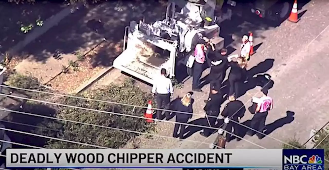 California Tree Trimmer Dies After Falling Into Wood Chipper