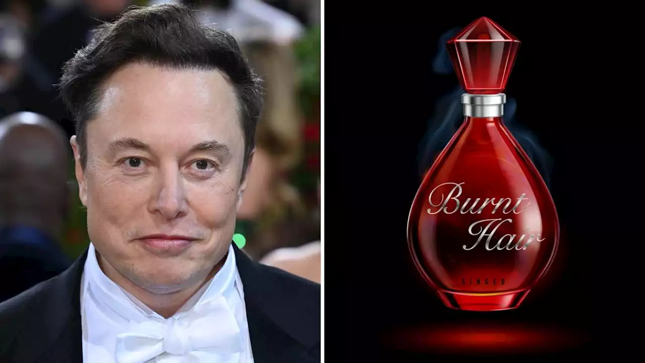 Elon Musk Peddles 'Burnt Hair' Perfume, Fails to Deliver on High-Speed Trains