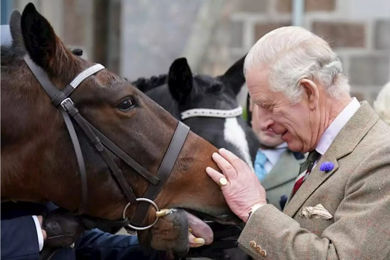 King Charles III to be crowned May 6 next year, palace says