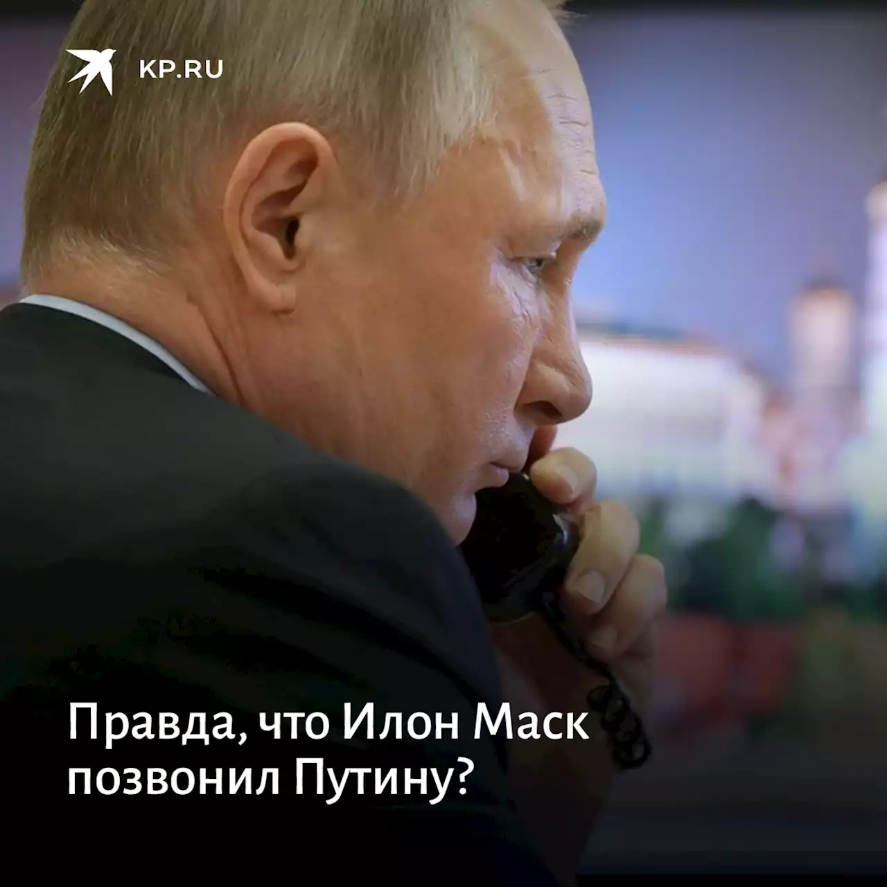 Правда, что Илон Маск позвонил Путину?