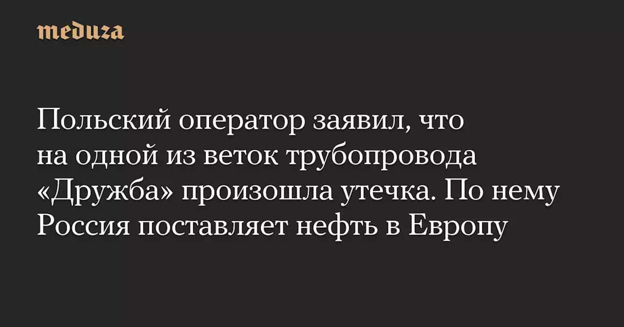 Польский оператор заявил, что на одной из веток трубопровода «Дружба» произошла утечка. По нему Россия поставляет нефть в Европу — Meduza