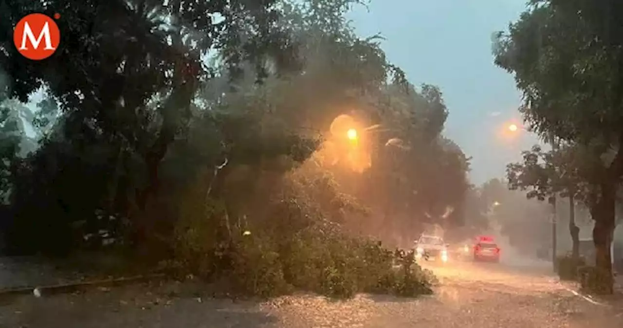 Suspenden clases en Acapulco y parte de la Sierra por ciclón Julia