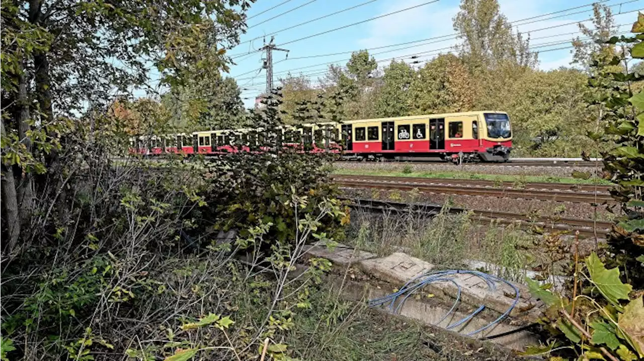 Deutsche Bahn: Sabotage an Kabeln – Polizei sucht Zeugen