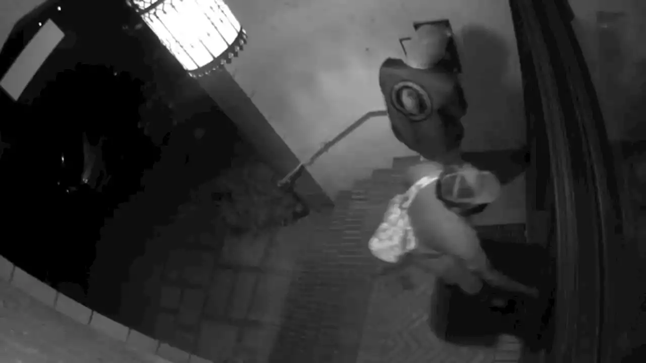 Thieves Appear to Use Postal Service Keys to Steal Mail From Berkeley Apartments