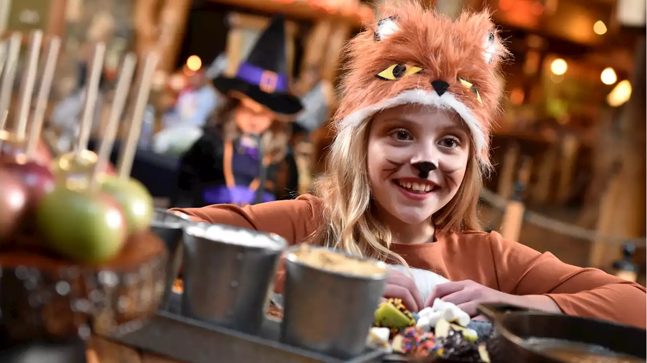 Immersive Fun Awaits on Great Wolf Lodge's Trick-Or-Treat Trail