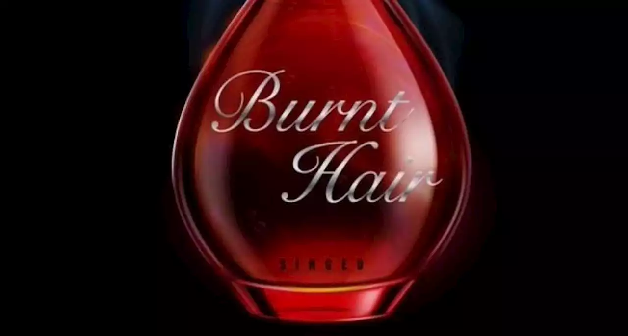 Elon Musk launches new 'Burnt Hair' perfume | Fin24