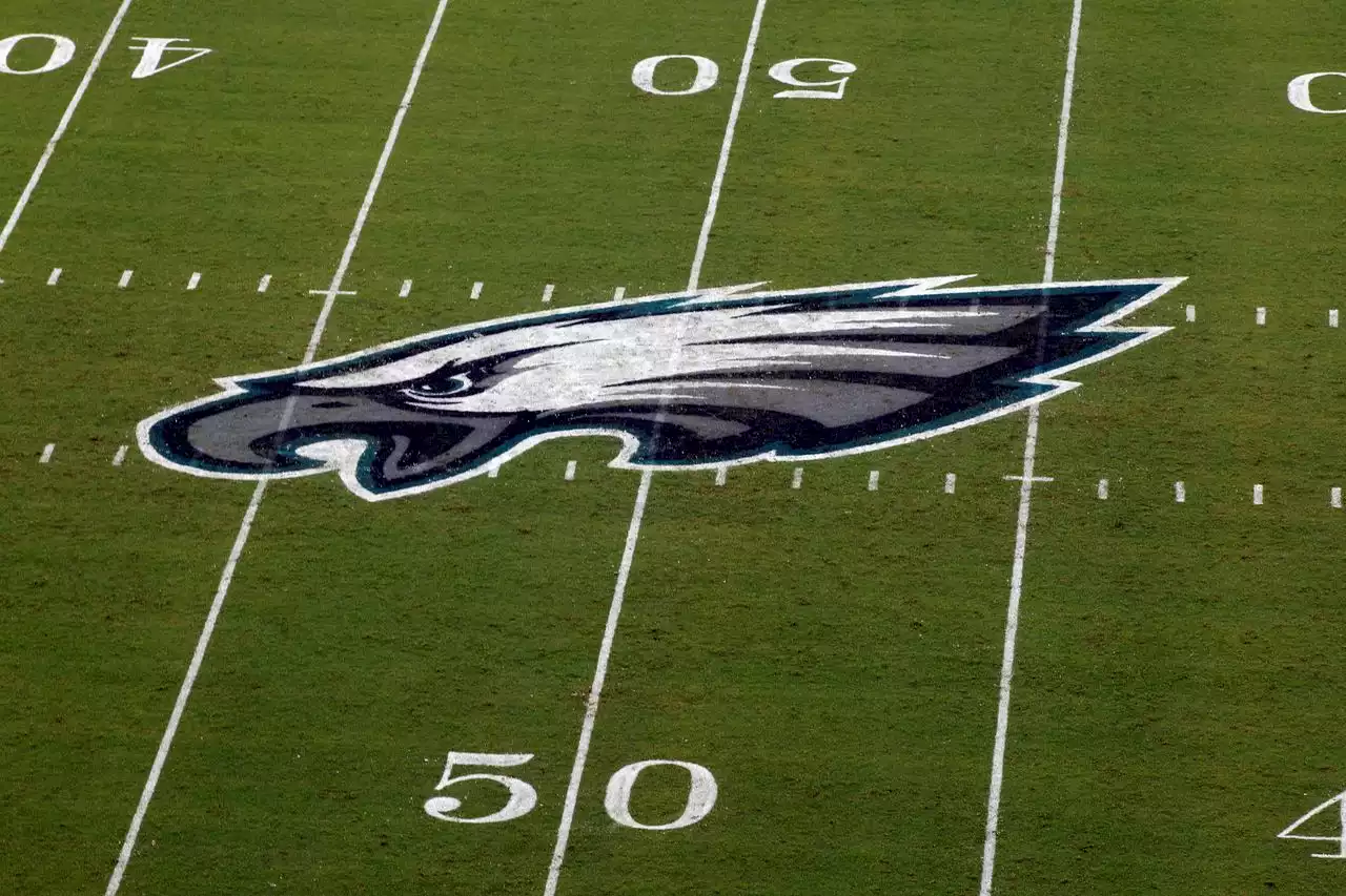 Ex-Eagles running back faces possible criminal charges for youth football game fight