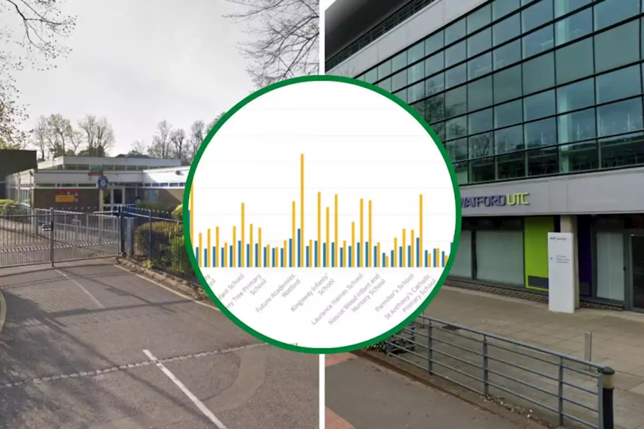 Figures show Watford schools with best and worst absence rates