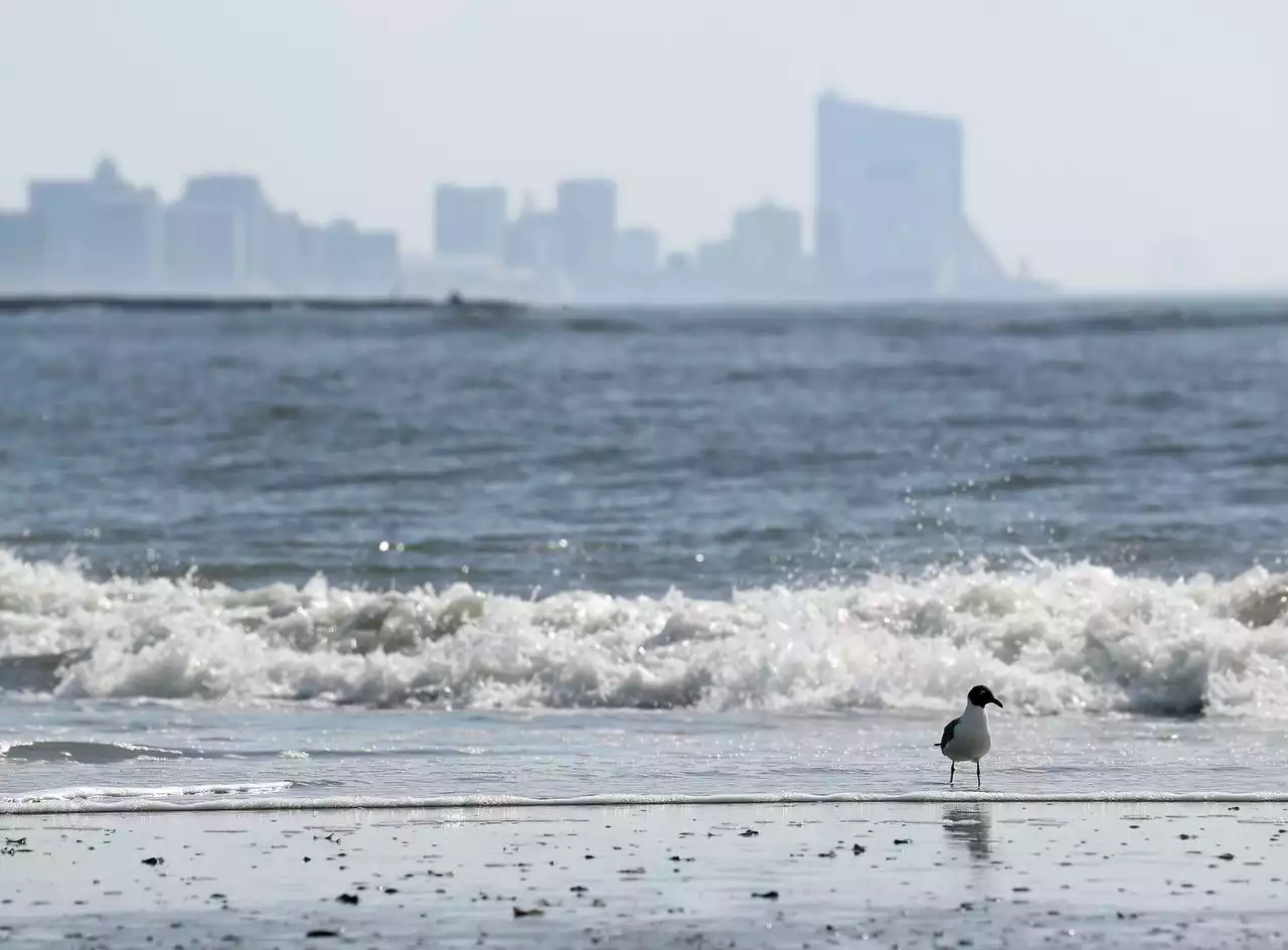 A woman’s urn washed ashore in Ocean City, returned to daughter over a year after her death