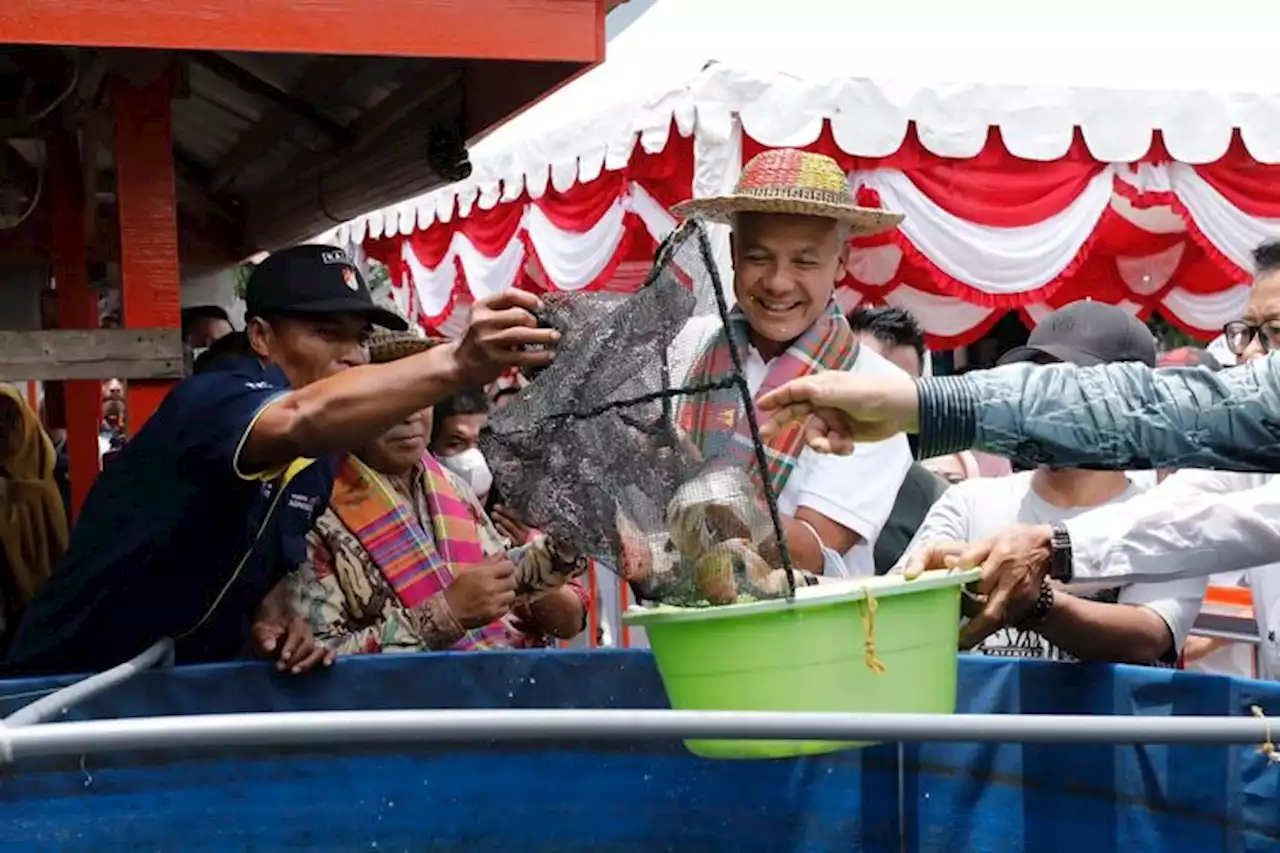 Sambutan Hangat Warga Makassar untuk Daeng Manaba - Pikiran-Rakyat.com