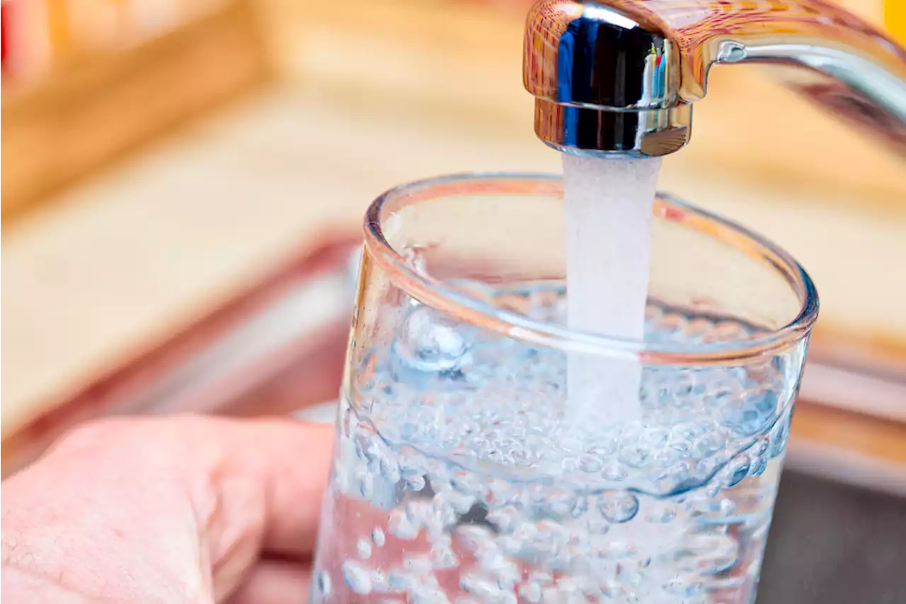 Vollständige Entwarnung – Wasserqualität in der Stadt Zug ZG wieder einwandfrei