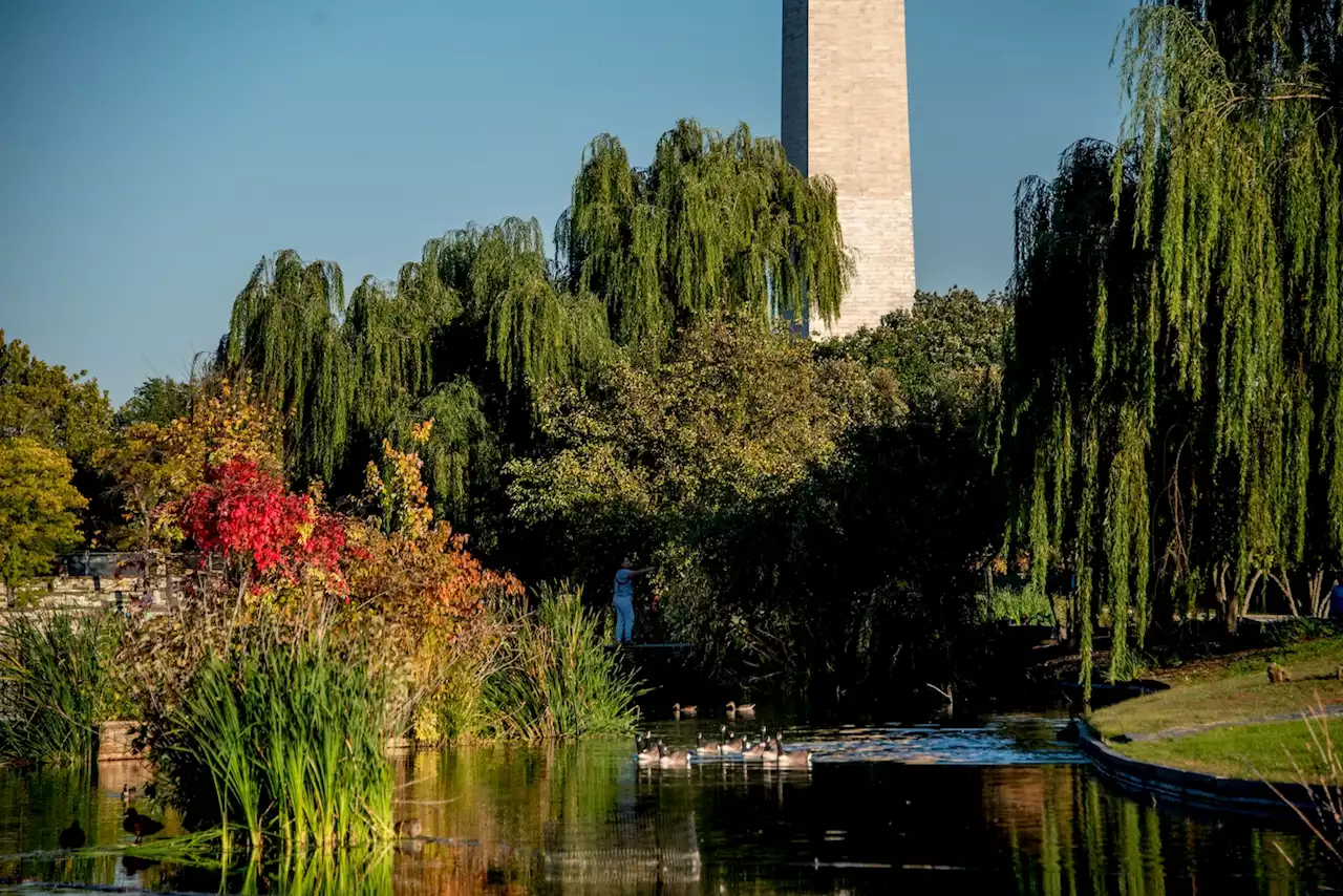 D.C.-area forecast: Calm weather continues through the weekend except for tomorrow