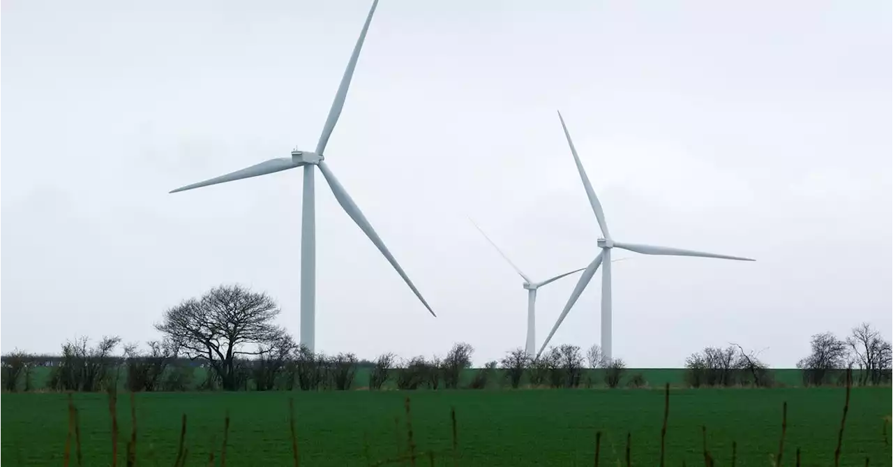 Britain plans 'de-facto windfall tax' on low-carbon energy producers