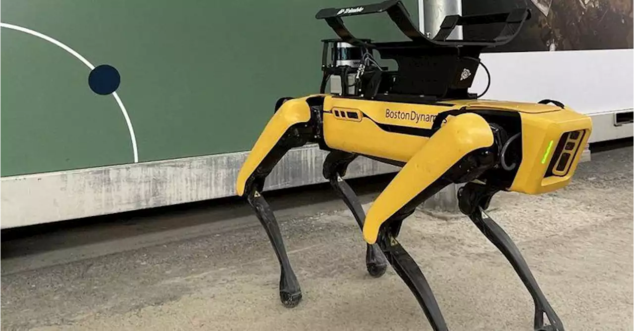 Il cane robot di Boston Dynamics debutta al lavoro in cantiere in Italia