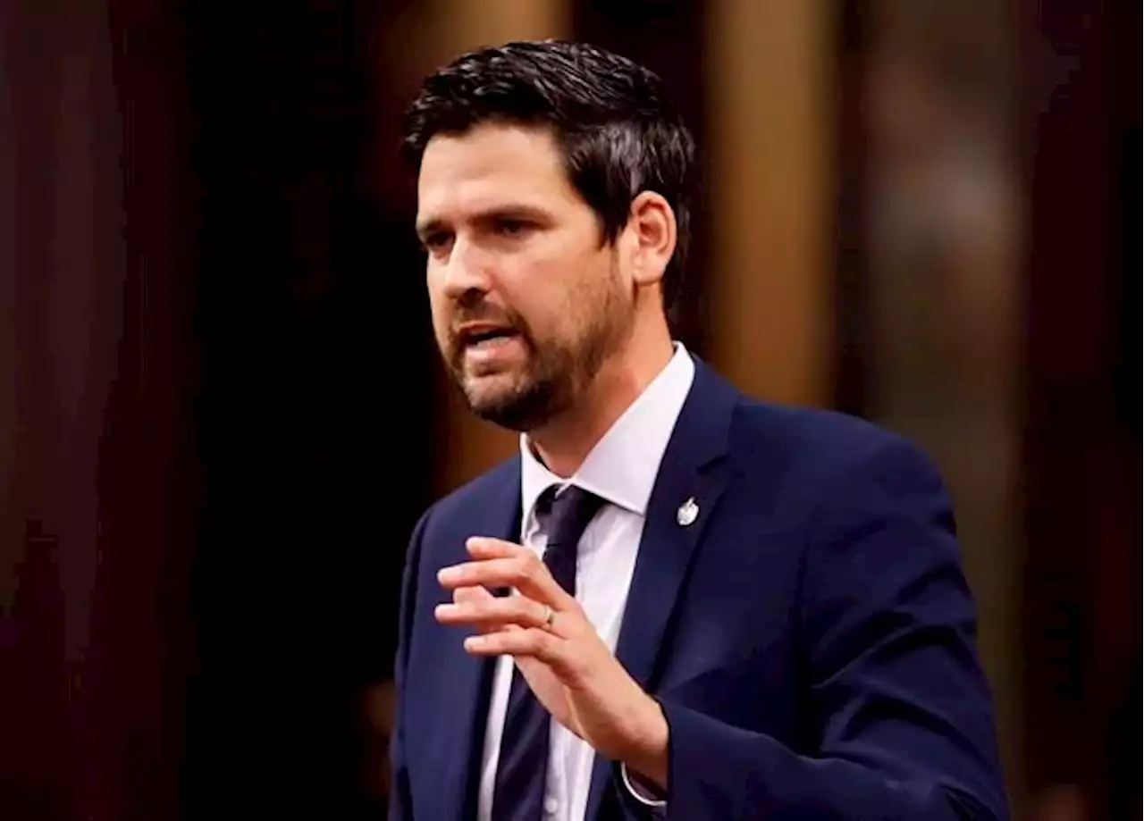 International students' working hours cap should be nixed: advocates