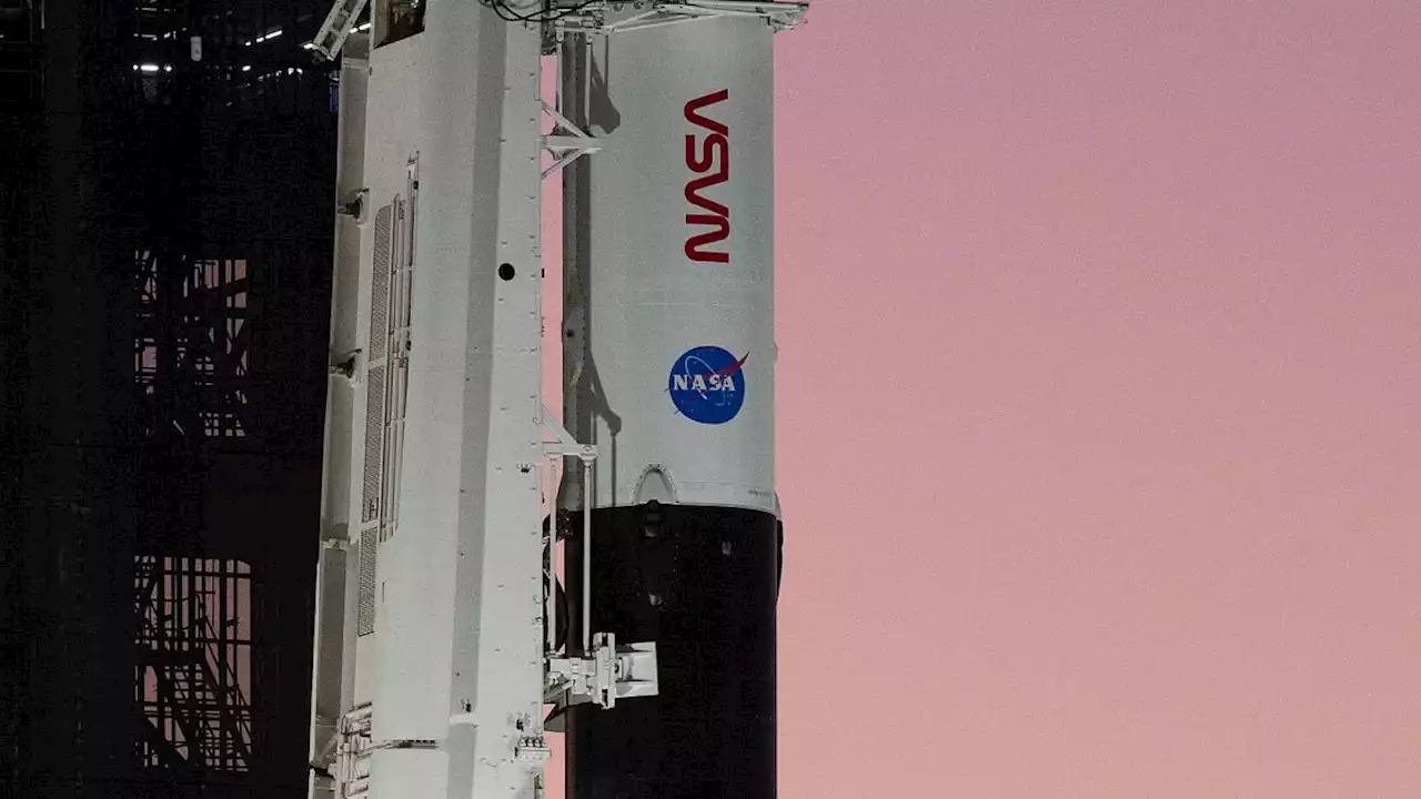 Meatball mishap: SpaceX Crew-5 launch marked by distorted NASA logo