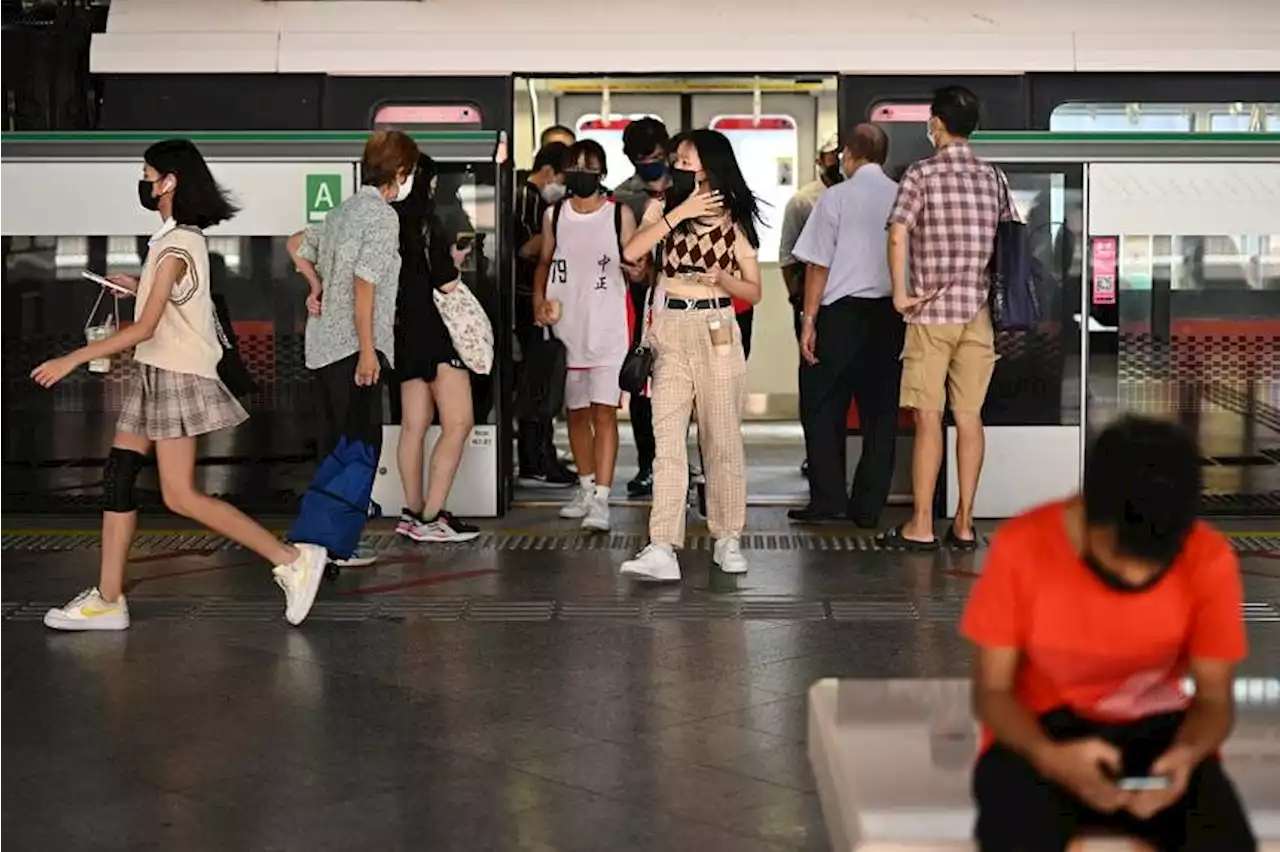 Train, bus fares to rise by 4 to 5 cents for adults from Dec 26