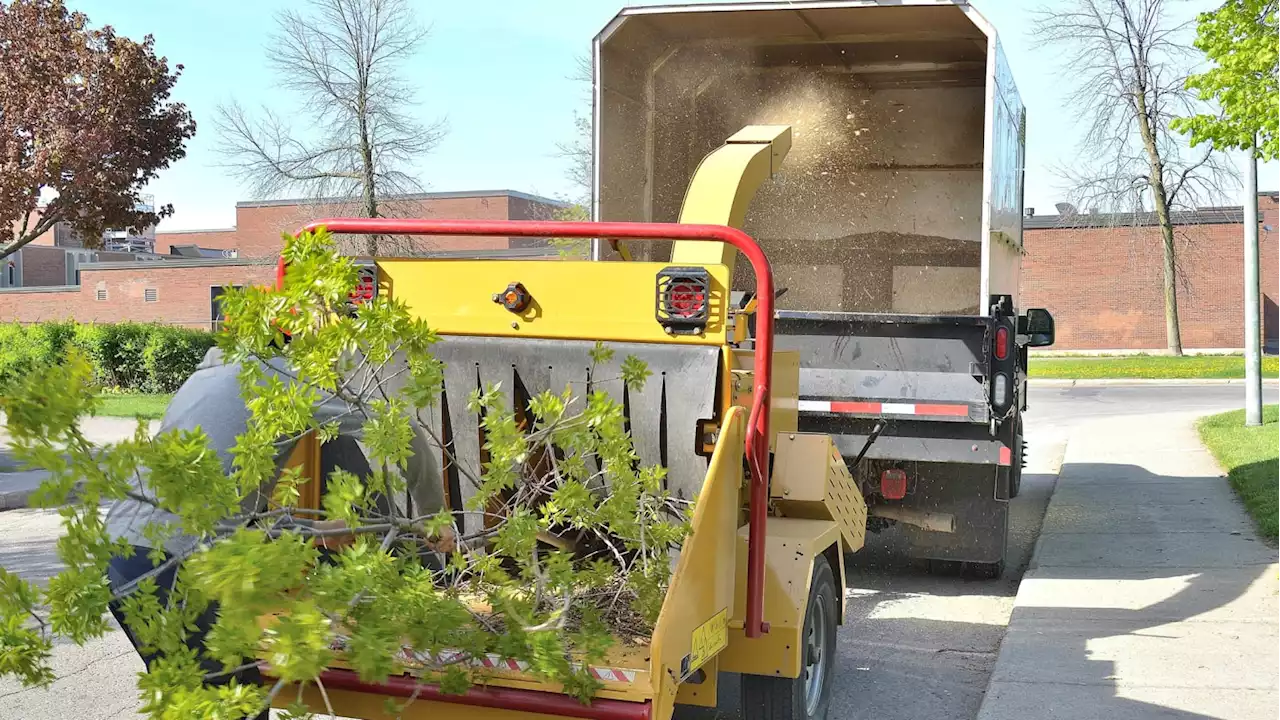 Tree Trimmer Dead After Getting Dragged Into Wood Chipper