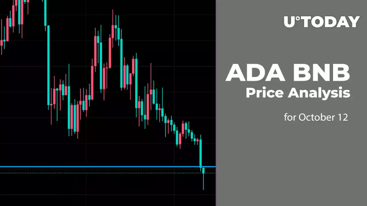 ADA and BNB Price Analysis for October 12