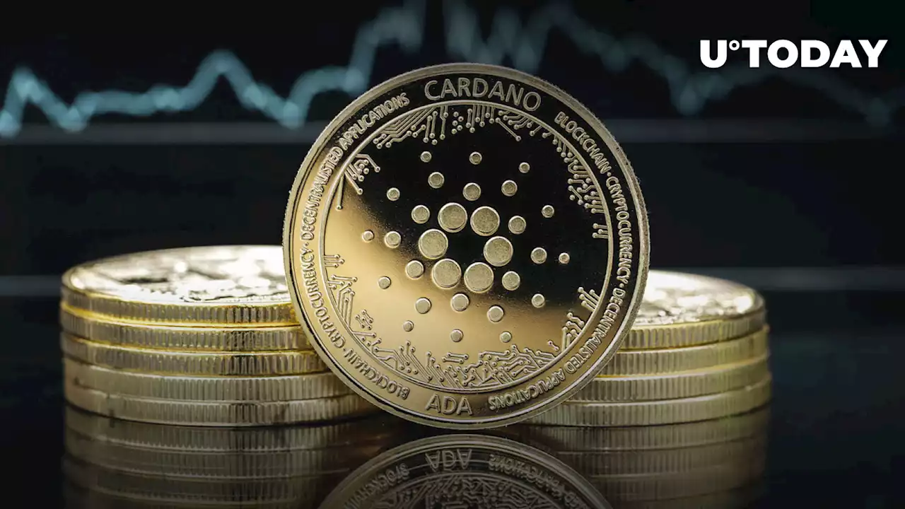 Here's How Much Cardano (ADA) You Will Earn by Staking for 5 Years