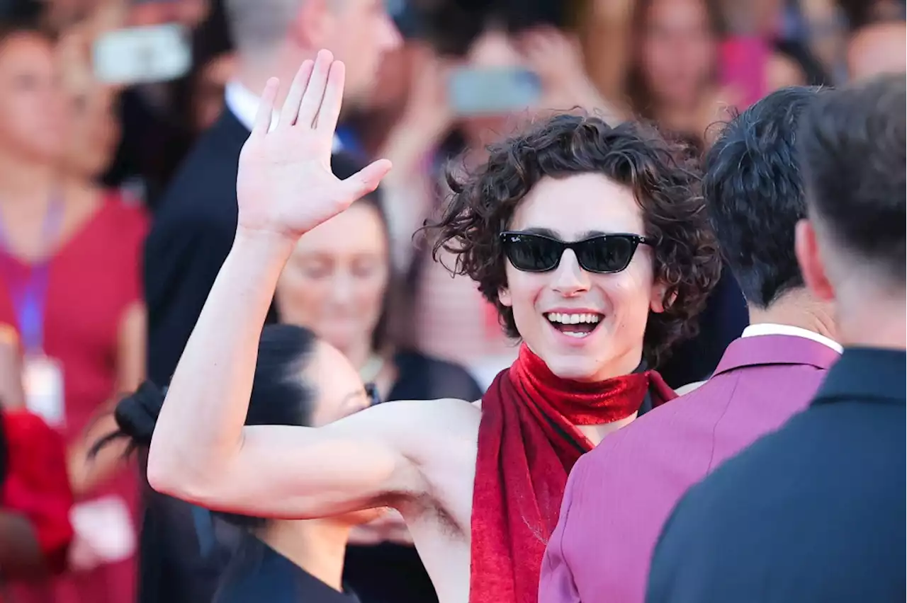 Timothée Chalamet’s Cat-Eye Sunglasses Are on a Huge Sale for Prime Day