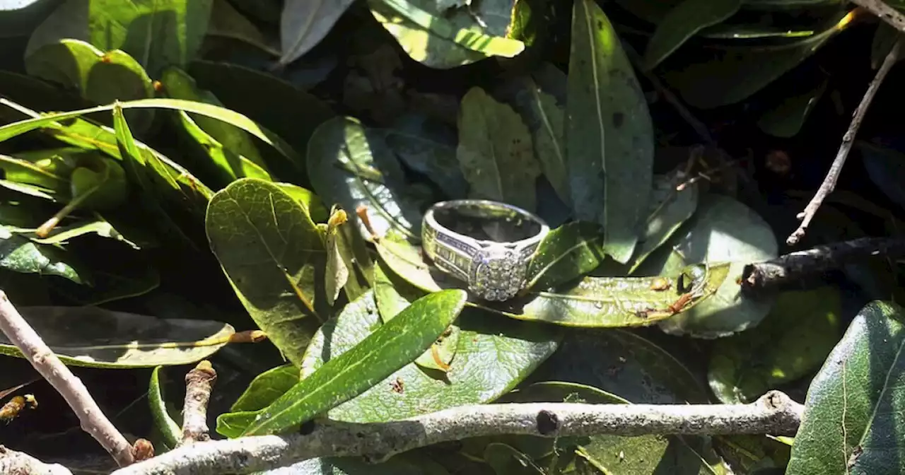 Florida woman finds wedding ring in brush pile after Hurricane Ian