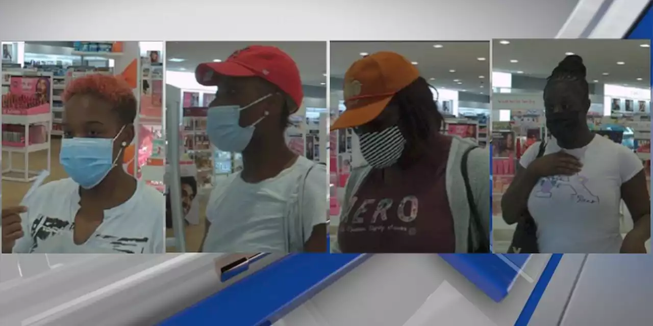 Troy police search for multiple shoplifting suspects