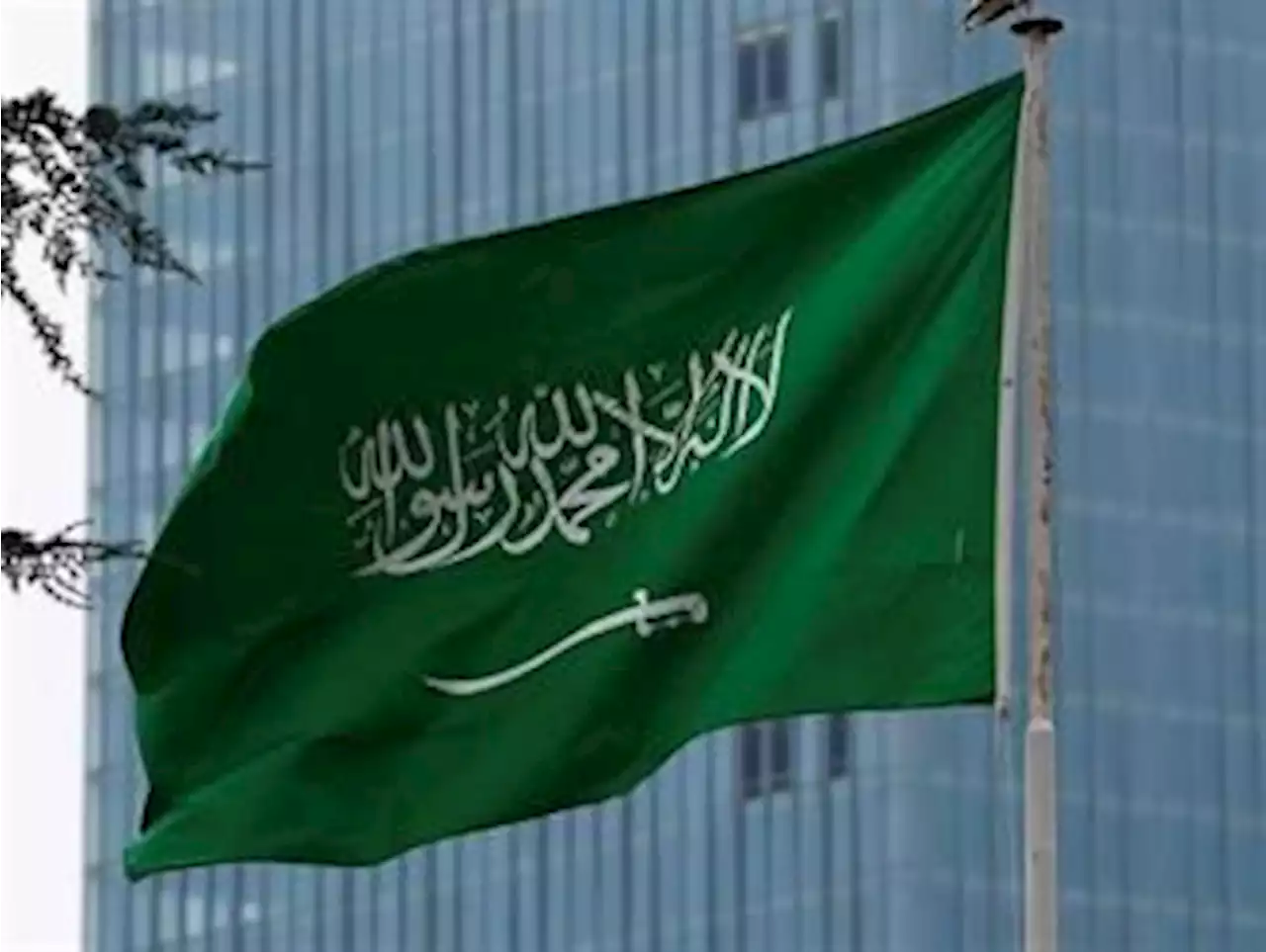 المملكة تدعو مجلس الأمن لتصنيف الحوثي كجماعة إرهابية