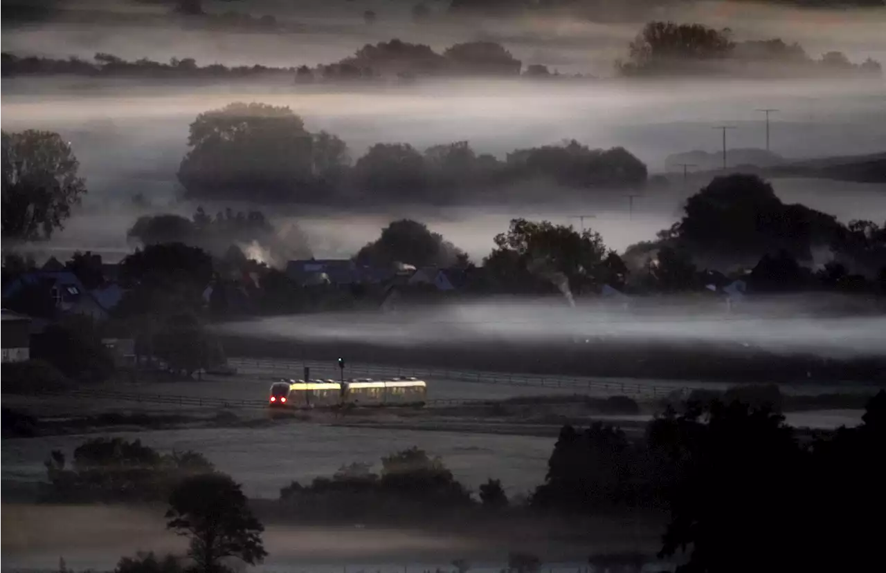 Ticket to ride: Germany eyes public transit revolution