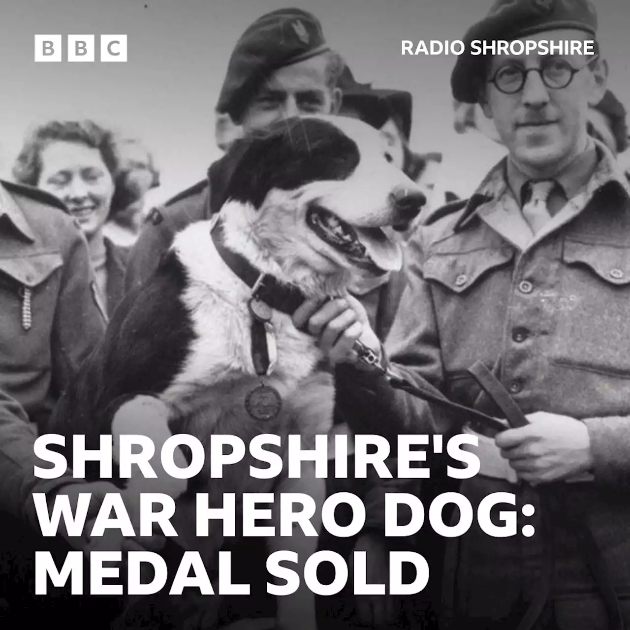 Dickin medal awarded to Tetchill dog smashes auction record