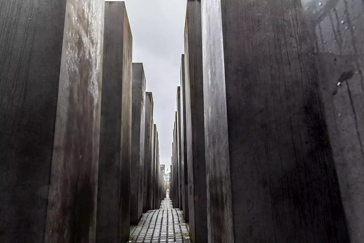 Nach Pose auf Holocaust-Mahnmal: AfD-Politiker legt Amt nieder