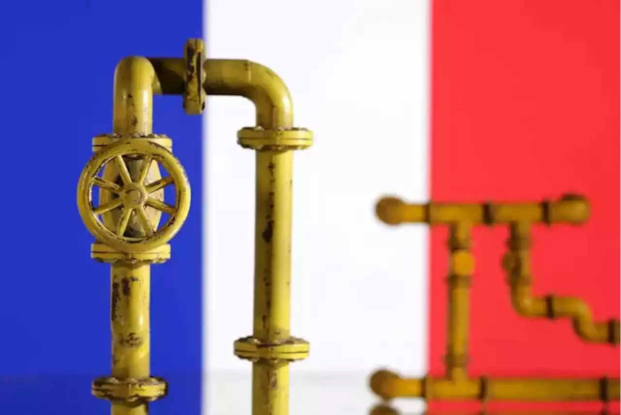 La France commence \u00e0 livrer directement du gaz \u00e0 l'Allemagne