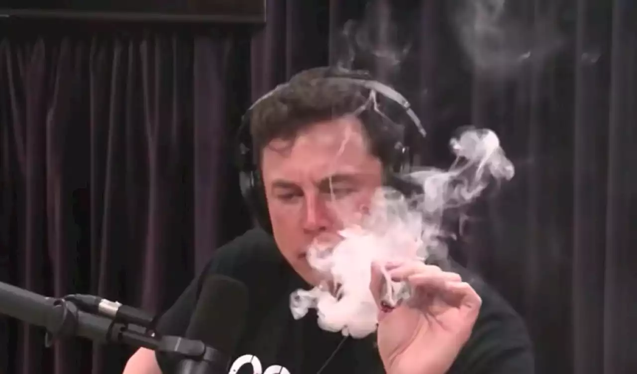 Elon Musk advocates the use of MDMA and psychedelic drugs