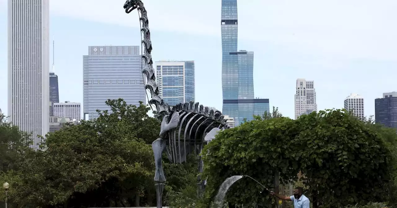 Field Museum employees announce union campaign