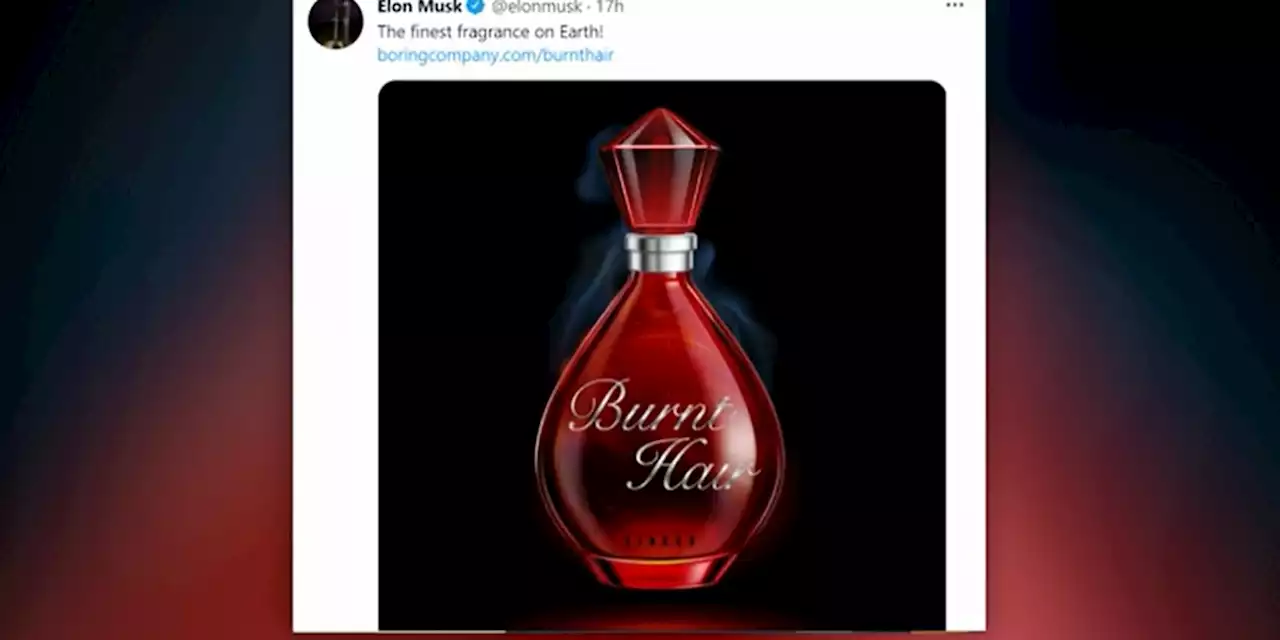 Elon Musk now selling ‘Burnt Hair’ perfume