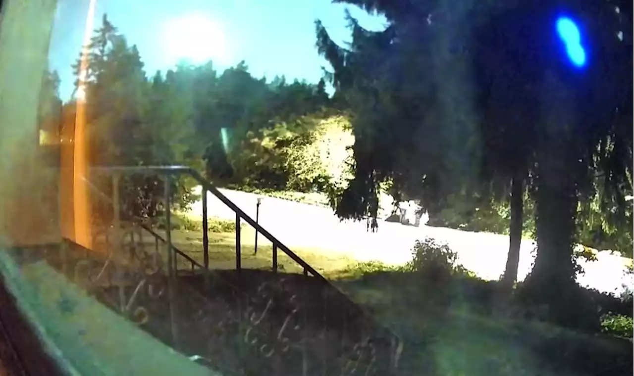 Caught on cam: Bright meteor lights up skies off B.C. coast