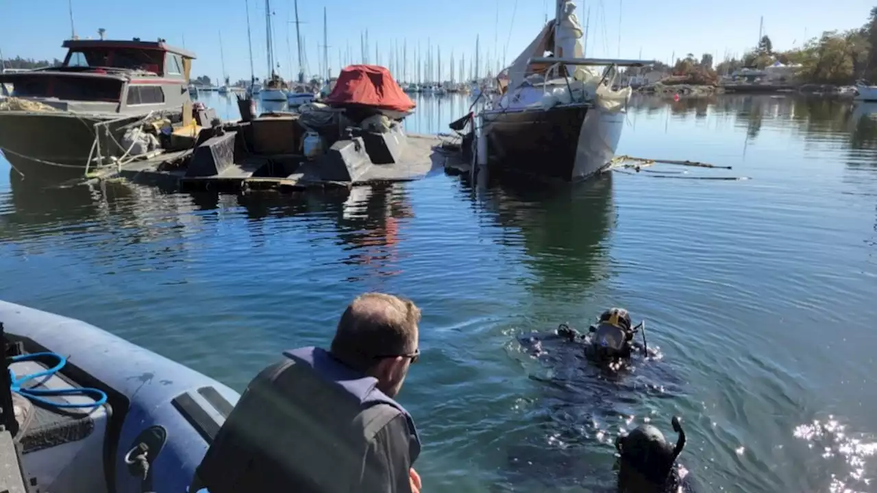 Police investigate pollution that may be linked to 'water world' of conjoined boats in Saanich