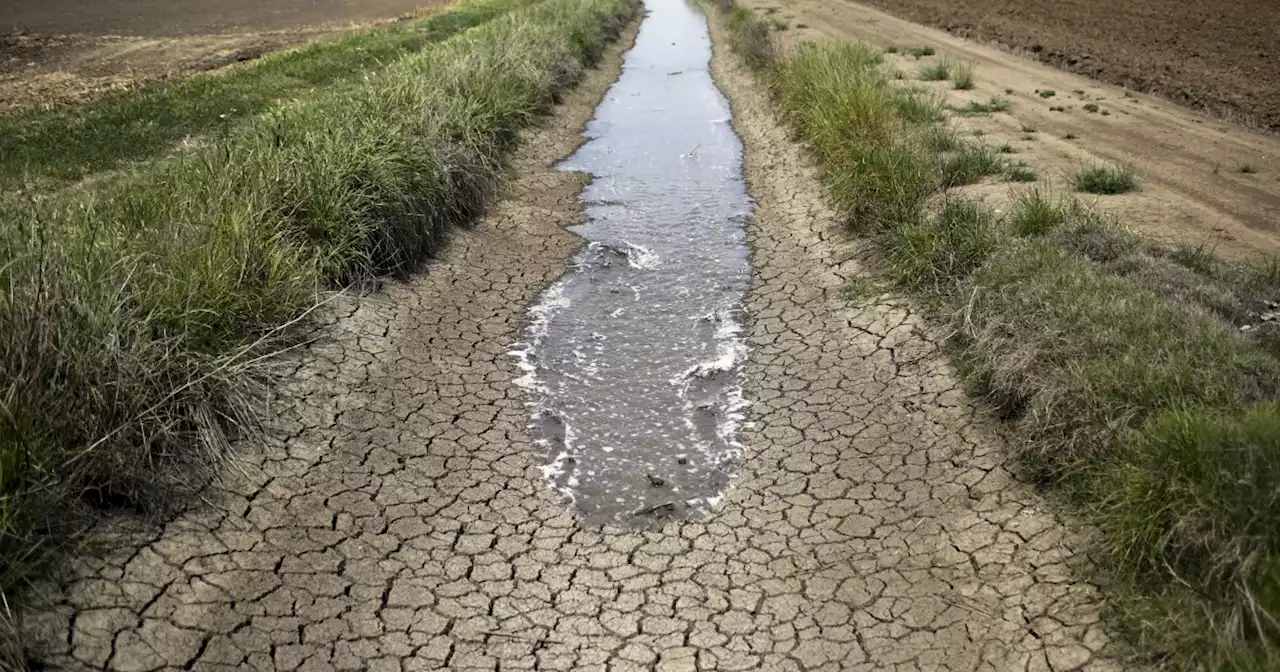 California prioritizes fish over people during another drought