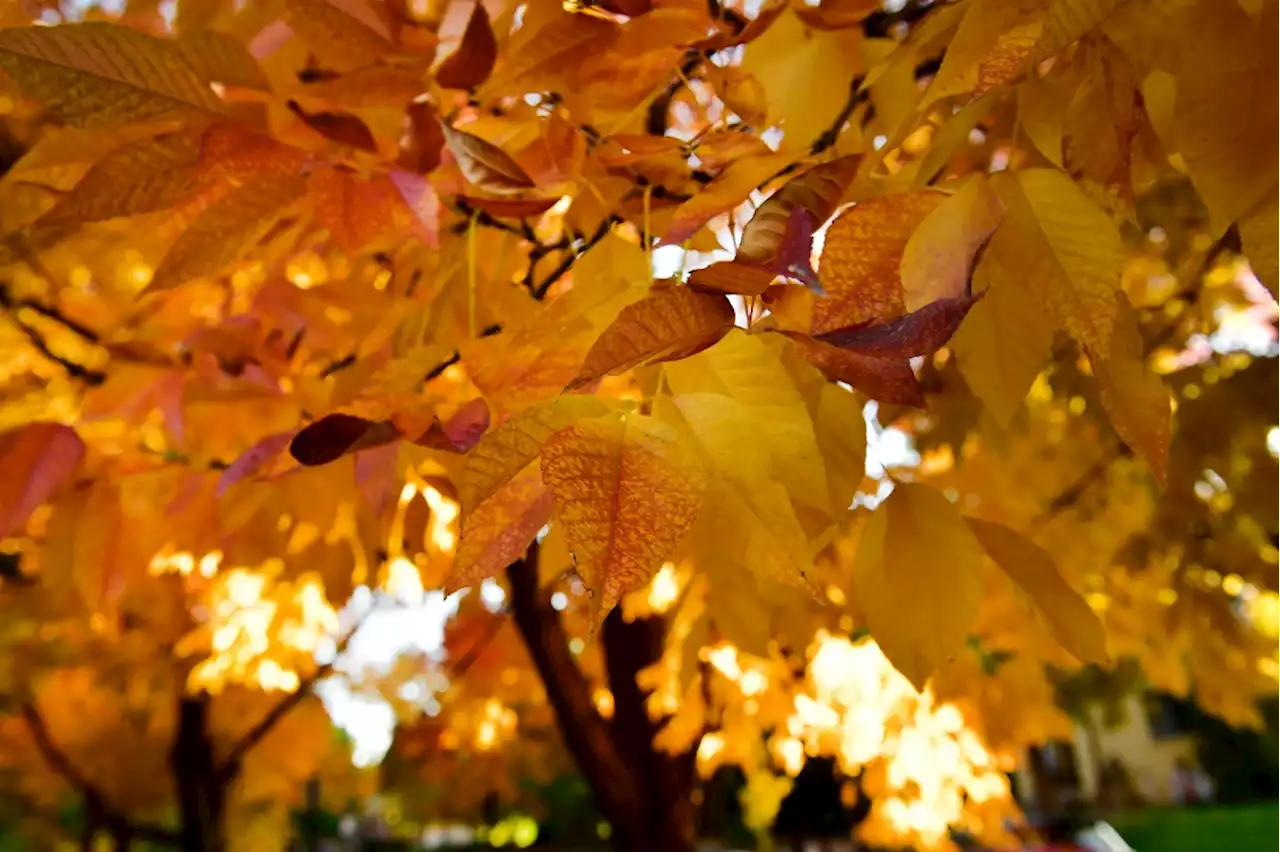 Denver weather: Cooler, sunny day expected Thursday