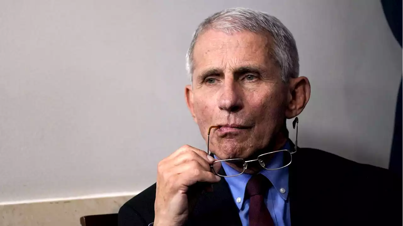 Republicans hammer Fauci for funding new EcoHealth study on bat coronaviruses despite ties to Wuhan lab