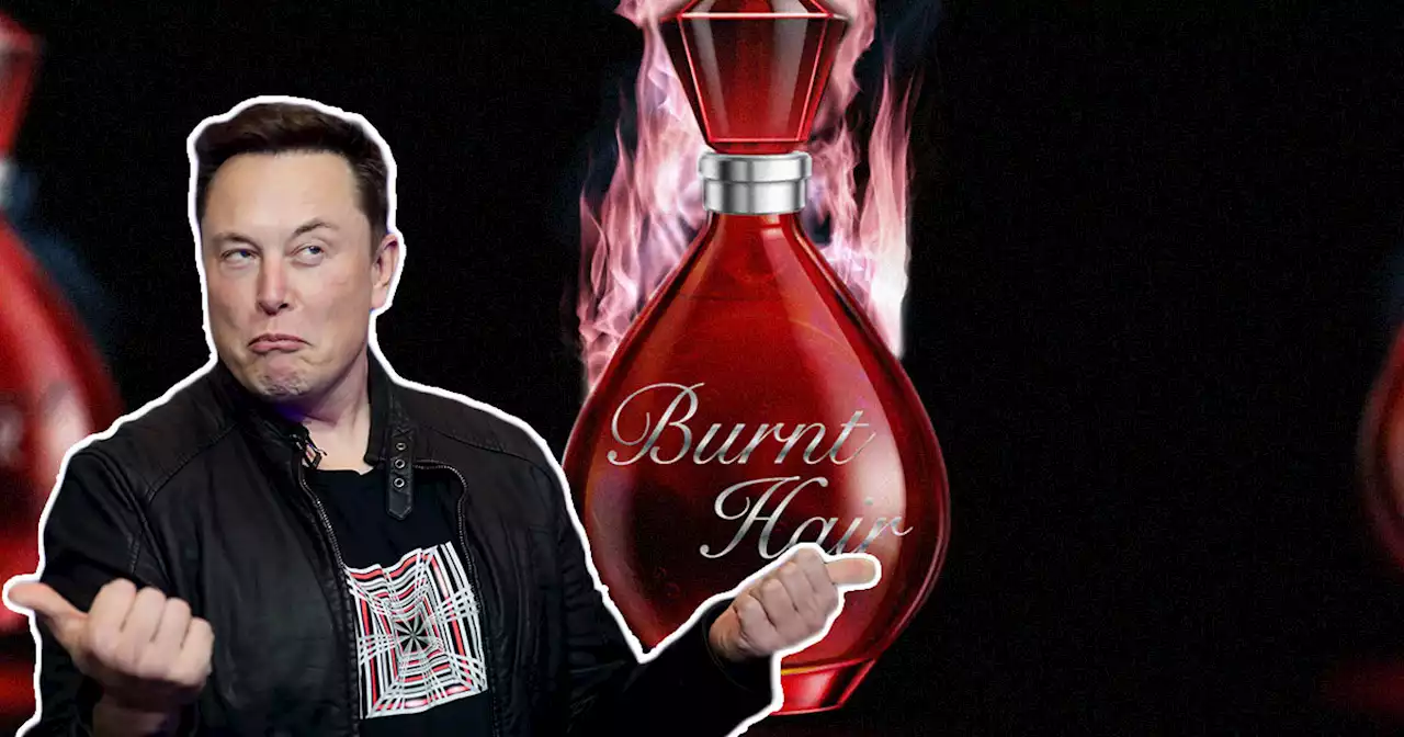 Elon Musk Leans Into 'Musk' Name, Starts Selling 'Burnt Hair' Perfume