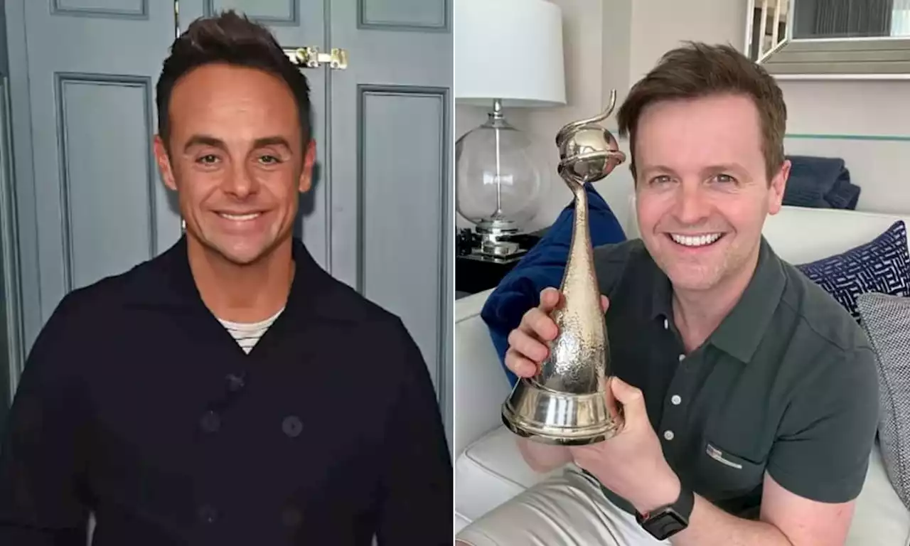 Ant McPartlin and Declan Donnelly's stylish homes where they are recovering from Covid-19