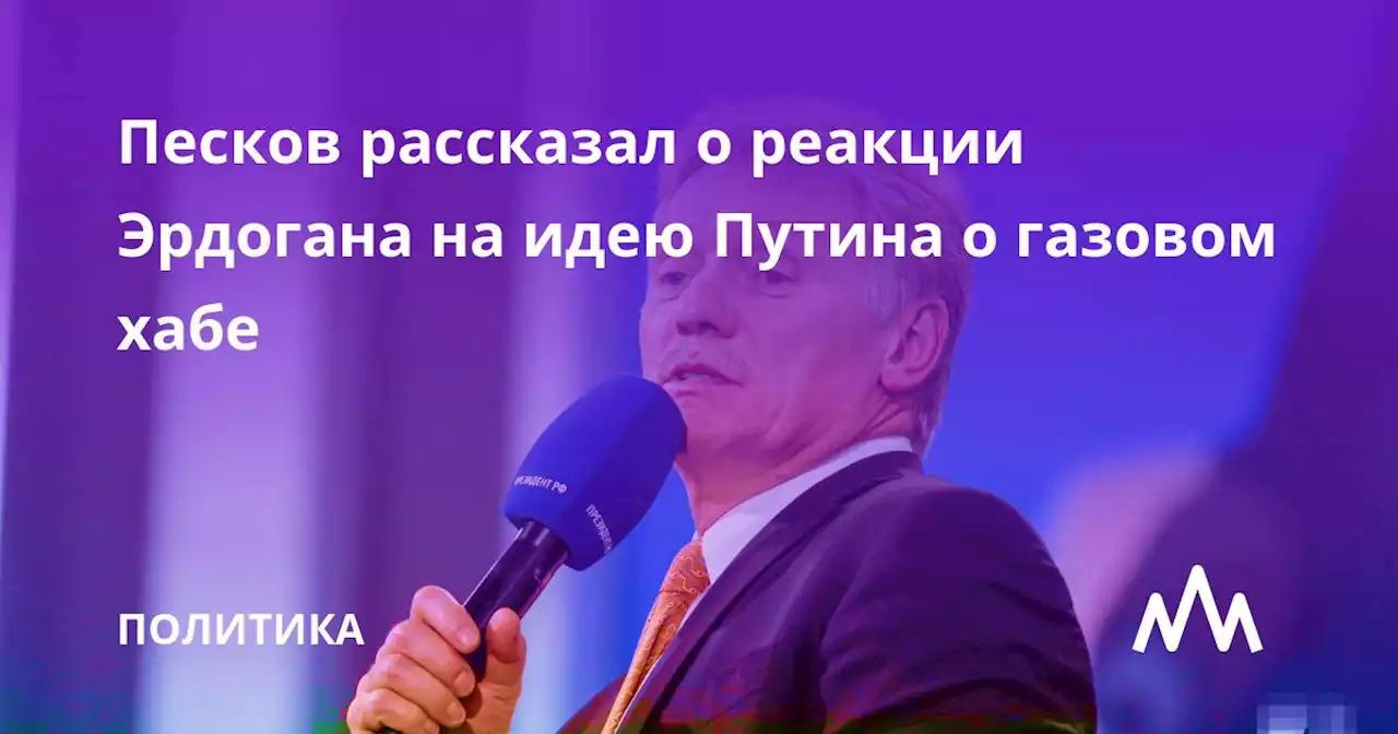 Песков рассказал о реакции Эрдогана на идею Путина о газовом хабе