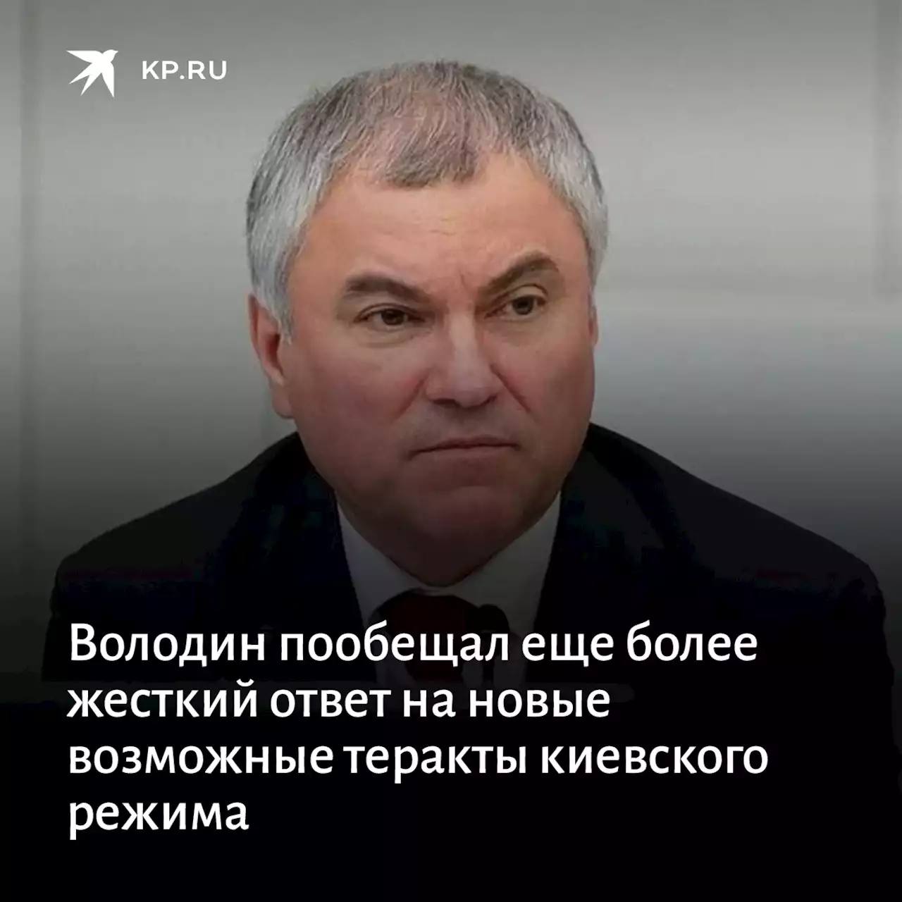 Володин пообещал еще более жесткий ответ на новые возможные теракты киевского режима