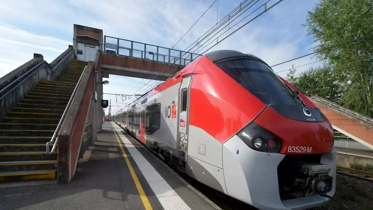 Pénurie d'essence : les trains à 1 euro ce week-end sur l'ensemble du réseau régional liO en Occitanie