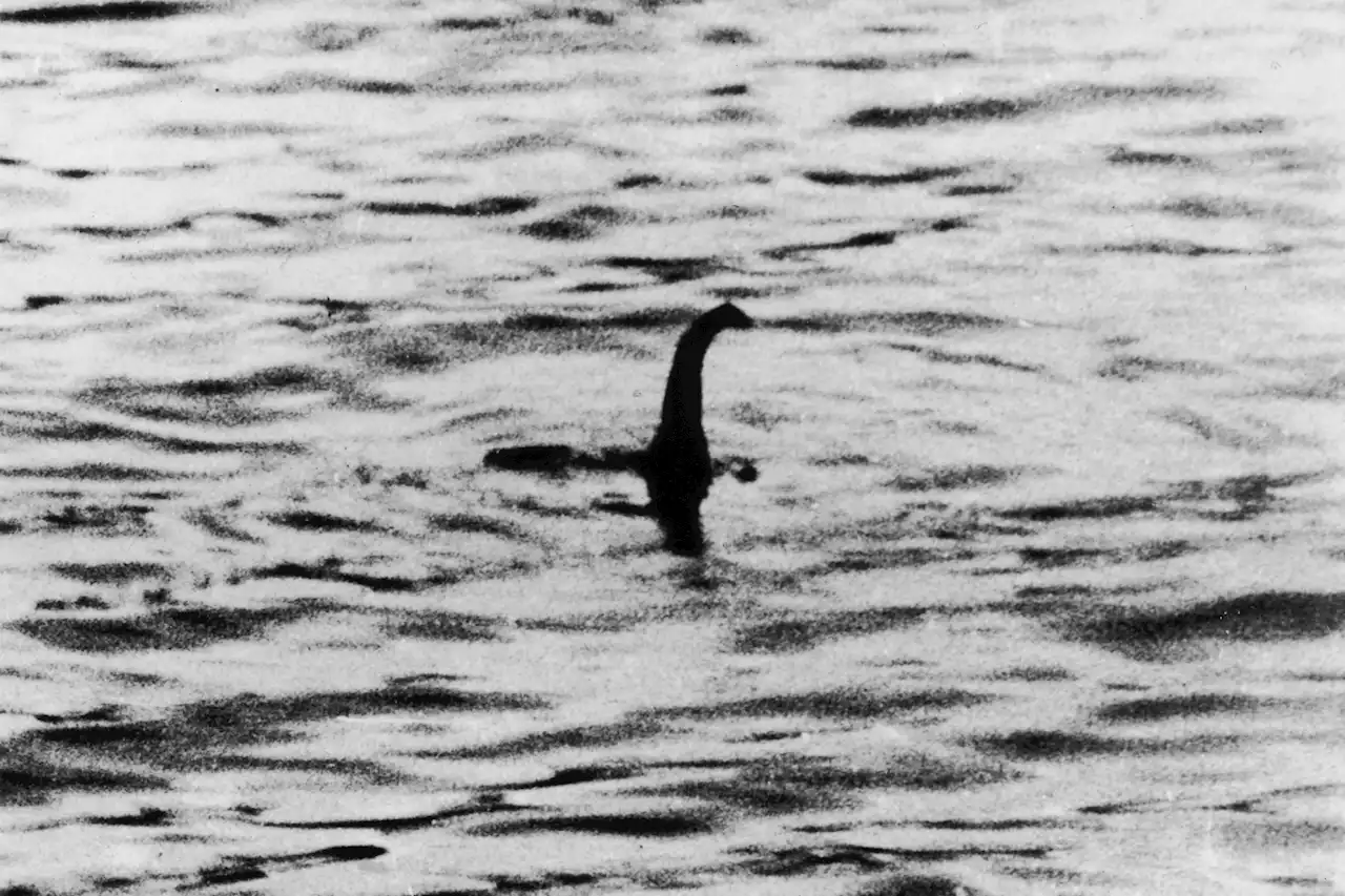 Loch Ness monster mystery ‘solved’ by woman who claims she knows what the creature is