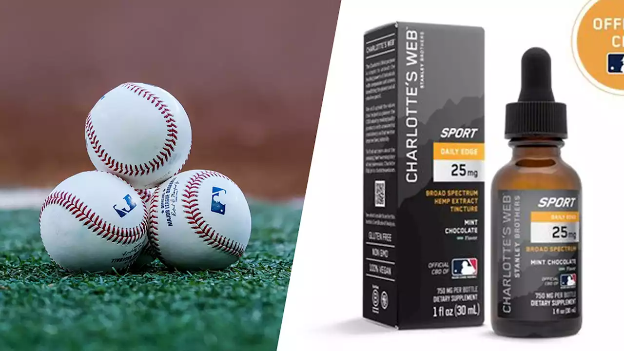 MLB Initiates Sponsorship Deal With CBD Brand Charlotte's Web