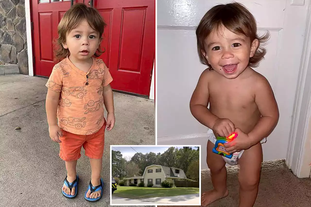 Police use search dogs at Georgia home of missing toddler Quinton Simon